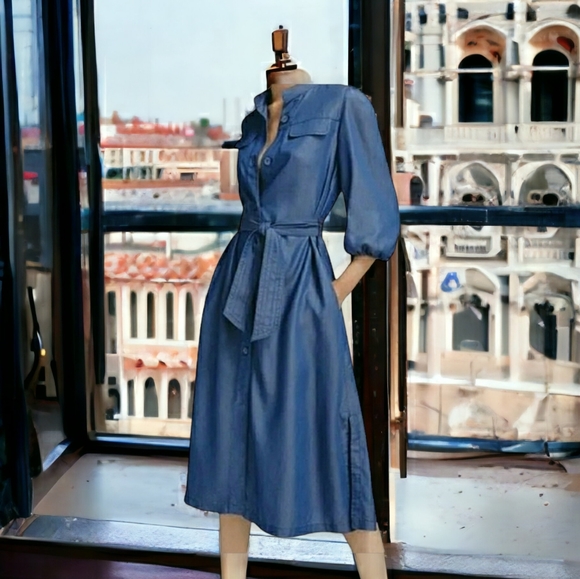 Massimo Dutti Shirt Dress 3/4 Sleeves Mockneck Minimalist Lyocell Chambray Midi - Picture 13 of 16